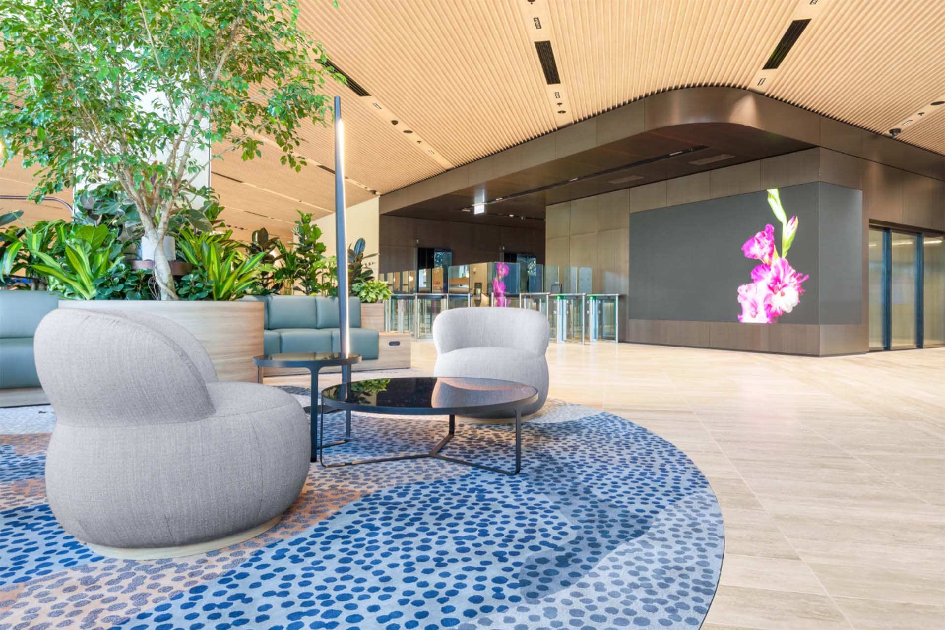231-elizabeth-street-sydney-fitout-nsw-sydney-shape-australia_2