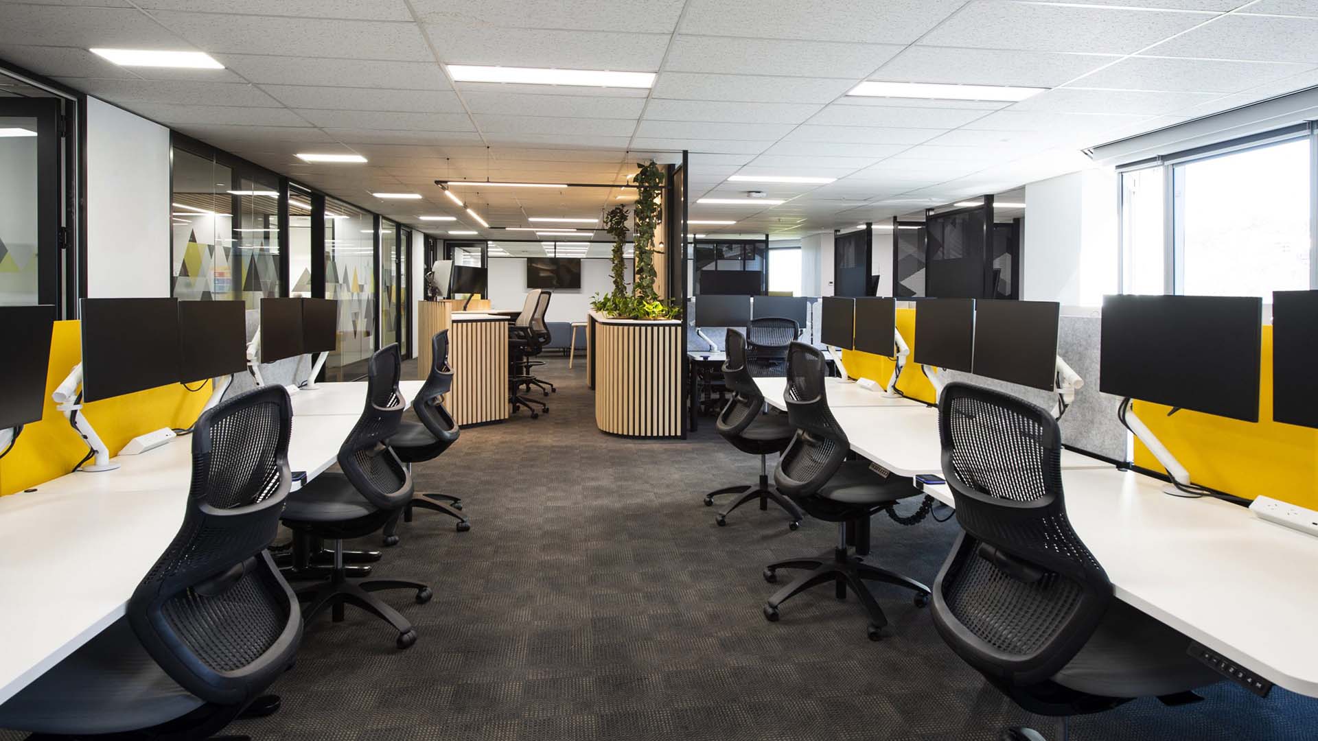 synergy-business-services-hub-fitout-wa-perth-shape-australia_3